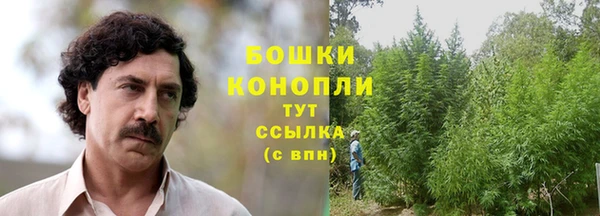 индика Богданович