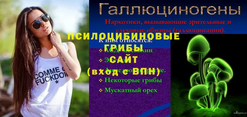 Псилоцибиновые грибы мухоморы  наркота  Гатчина 